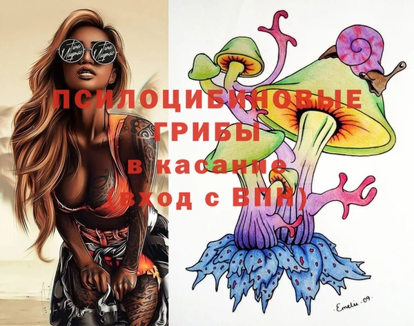 винт Аркадак